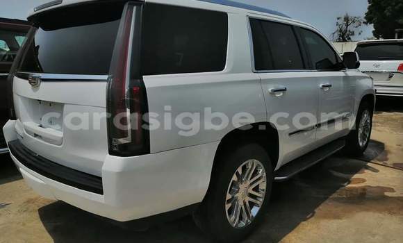 Buy Import Cadillac Escalade White Car in Lome in Togo Buy Import Cadillac Escalade White Car in Lome in Togo