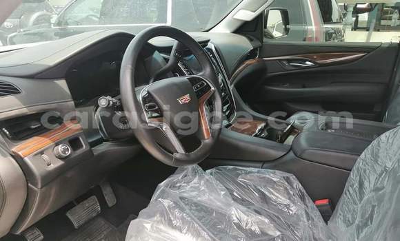 Buy Import Cadillac Escalade White Car in Lome in Togo Buy Import Cadillac Escalade White Car in Lome in Togo