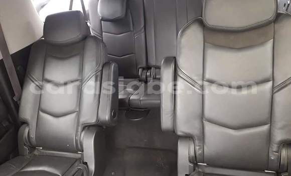 Buy Import Cadillac Escalade White Car in Lome in Togo Buy Import Cadillac Escalade White Car in Lome in Togo