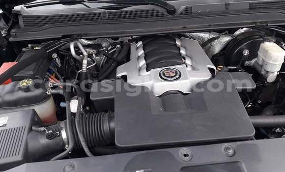 Buy Import Cadillac Escalade White Car in Lome in Togo Buy Import Cadillac Escalade White Car in Lome in Togo