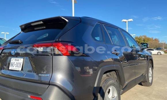 Acheter Import Voiture Toyota RAV4 Gris à Adawlato, Togo Acheter Import Voiture Toyota RAV4 Gris à Adawlato, Togo