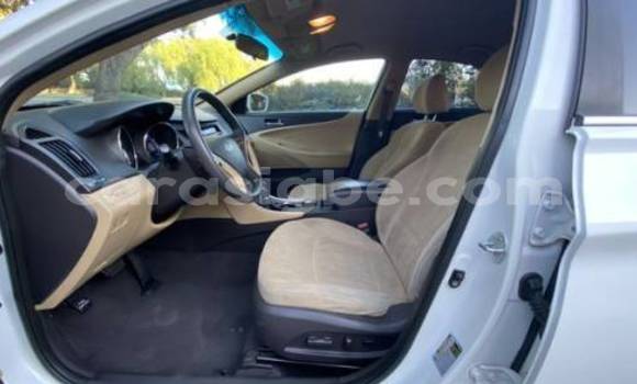 Buy Import Hyundai Sonata White Car in Lome in Togo Buy Import Hyundai Sonata White Car in Lome in Togo