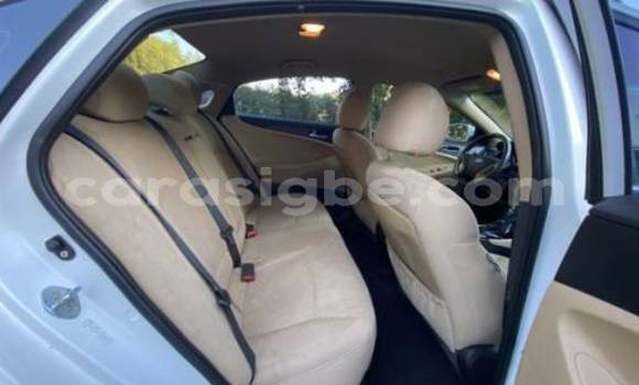 Buy Import Hyundai Sonata White Car in Lome in Togo Buy Import Hyundai Sonata White Car in Lome in Togo