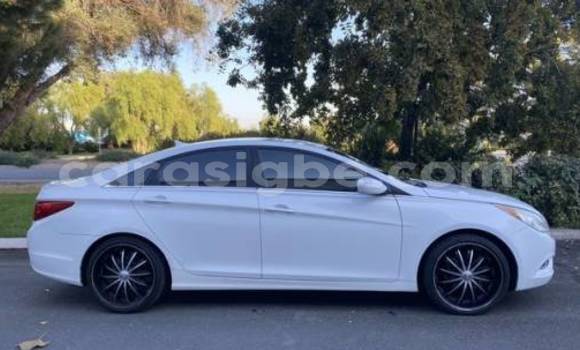 Buy Import Hyundai Sonata White Car in Lome in Togo Buy Import Hyundai Sonata White Car in Lome in Togo