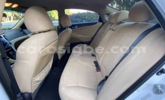 Buy Import Hyundai Sonata White Car in Lome in Togo Buy Import Hyundai Sonata White Car in Lome in Togo