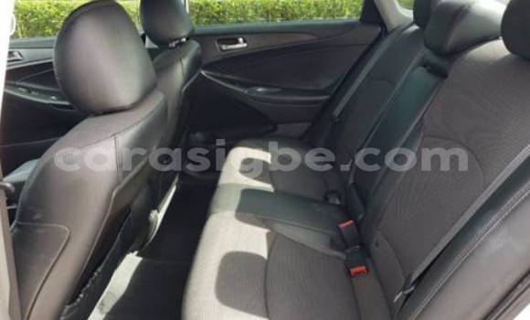 Acheter Import Voiture Hyundai Sonata Blanc à Forever, Togo Acheter Import Voiture Hyundai Sonata Blanc à Forever, Togo