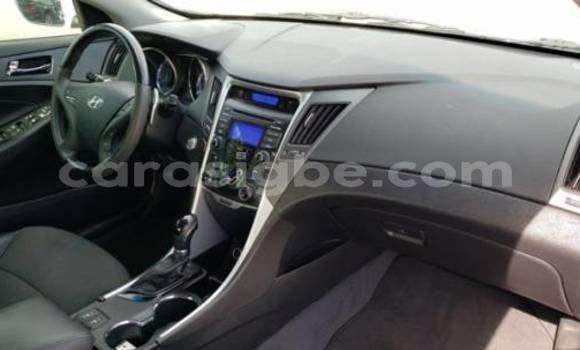 Acheter Import Voiture Hyundai Sonata Blanc à Forever, Togo Acheter Import Voiture Hyundai Sonata Blanc à Forever, Togo