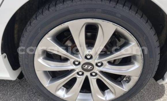 Acheter Import Voiture Hyundai Sonata Blanc à Forever, Togo Acheter Import Voiture Hyundai Sonata Blanc à Forever, Togo