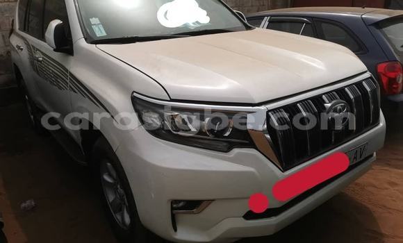 Buy Used Toyota Land Cruiser Prado White Car in Lome in Togo Buy Used Toyota Land Cruiser Prado White Car in Lome in Togo