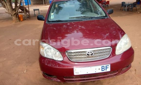 Buy Used Toyota Corolla Red Car in Lome in Togo Buy Used Toyota Corolla Red Car in Lome in Togo