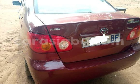 Buy Used Toyota Corolla Red Car in Lome in Togo Buy Used Toyota Corolla Red Car in Lome in Togo