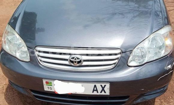 Buy Used Toyota Corolla Blue Car in Lome in Togo Buy Used Toyota Corolla Blue Car in Lome in Togo