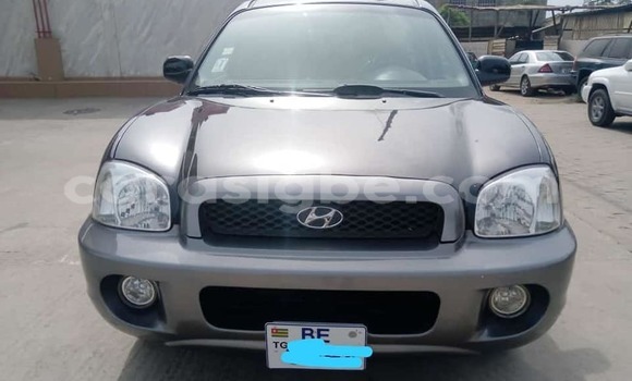 Acheter Occasion Voiture Hyundai Santa Fe Noir à Adawlato, Togo Acheter Occasion Voiture Hyundai Santa Fe Noir à Adawlato, Togo
