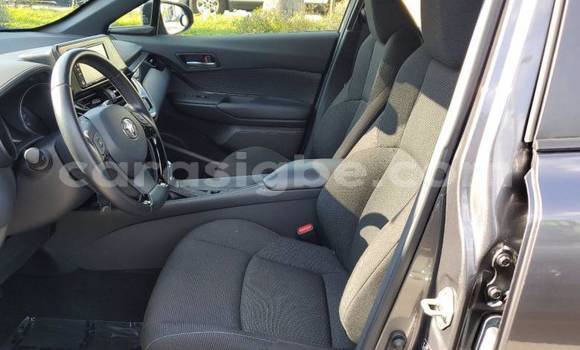 Buy Import Toyota C-HR Silver Car in Lome in Maritime Buy Import Toyota C-HR Silver Car in Lome in Maritime