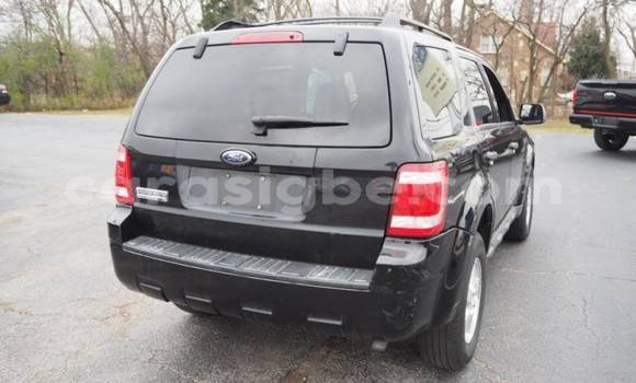 Buy Import Ford Escape Black Car in Amlame in Plateaux Buy Import Ford Escape Black Car in Amlame in Plateaux