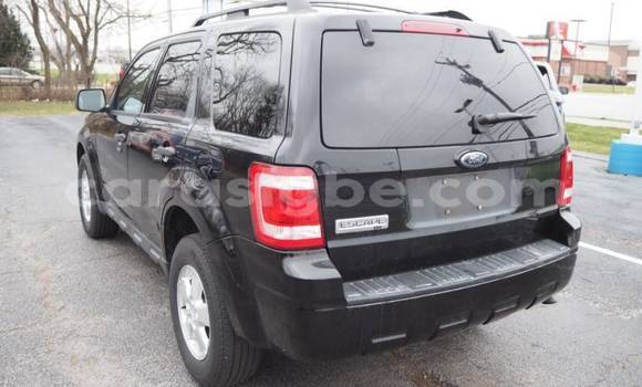 Buy Import Ford Escape Black Car in Amlamé in Togo Buy Import Ford Escape Black Car in Amlamé in Togo