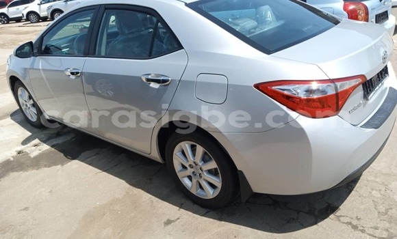 Buy Used Toyota Corolla White Car in Lome in Togo Buy Used Toyota Corolla White Car in Lome in Togo