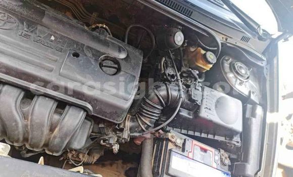 Buy Used Toyota Corolla Other Car in Lome in Togo Buy Used Toyota Corolla Other Car in Lome in Togo