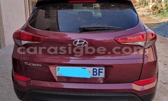 Buy Used Hyundai Tucson Red Car in Lome in Togo Buy Used Hyundai Tucson Red Car in Lome in Togo