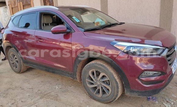 Buy Used Hyundai Tucson Red Car in Lome in Togo Buy Used Hyundai Tucson Red Car in Lome in Togo