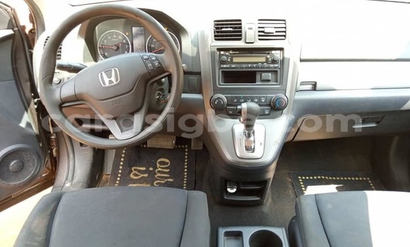 Acheter Occasion Voiture Honda CR–V Marron à Lomé, Togo Acheter Occasion Voiture Honda CR–V Marron à Lomé, Togo