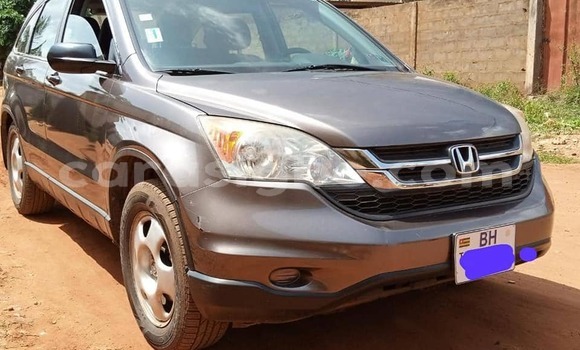 Acheter Occasion Voiture Honda CR–V Marron à Lomé, Togo Acheter Occasion Voiture Honda CR–V Marron à Lomé, Togo