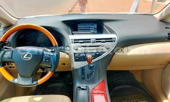 Buy Used Lexus RX 350 White Car in Lome in Togo Buy Used Lexus RX 350 White Car in Lome in Togo