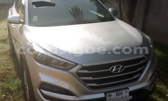 Buy Used Hyundai Tucson Silver Car in Lome in Togo Buy Used Hyundai Tucson Silver Car in Lome in Togo