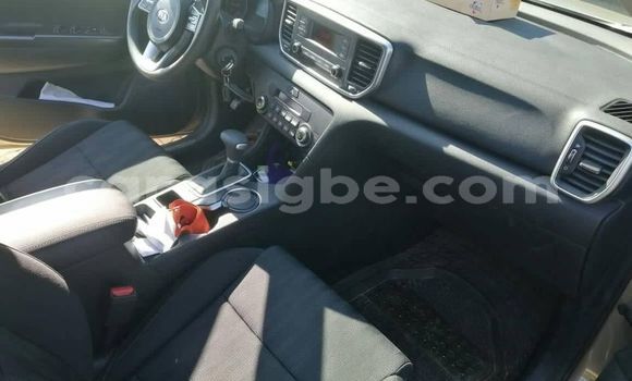 Buy Used Kia Sportage Brown Car in Lome in Togo Buy Used Kia Sportage Brown Car in Lome in Togo