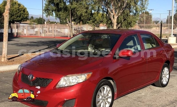 Acheter Import Voiture Toyota Corolla Rouge à Atakpamé, Togo Acheter Import Voiture Toyota Corolla Rouge à Atakpamé, Togo