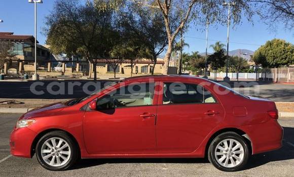 Acheter Import Voiture Toyota Corolla Rouge à Atakpamé, Togo Acheter Import Voiture Toyota Corolla Rouge à Atakpamé, Togo