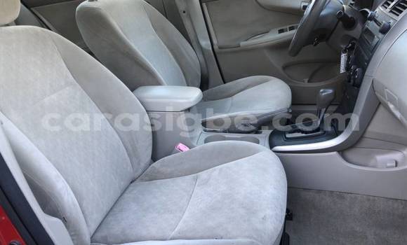 Acheter Import Voiture Toyota Corolla Rouge à Atakpamé, Togo Acheter Import Voiture Toyota Corolla Rouge à Atakpamé, Togo