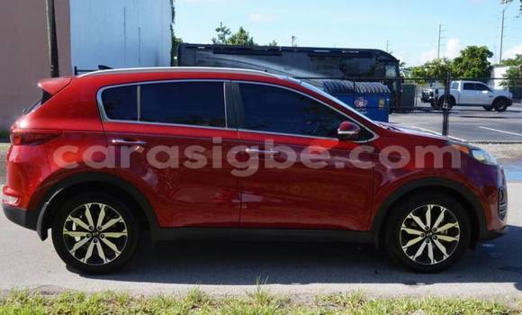 Buy Import Kia Sportage Red Car in Adawlato in Togo Buy Import Kia Sportage Red Car in Adawlato in Togo
