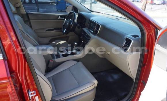 Buy Import Kia Sportage Red Car in Adawlato in Togo Buy Import Kia Sportage Red Car in Adawlato in Togo