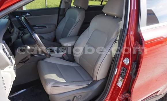 Buy Import Kia Sportage Red Car in Adawlato in Togo Buy Import Kia Sportage Red Car in Adawlato in Togo