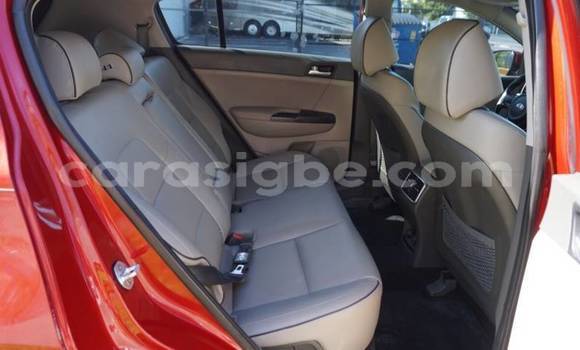 Buy Import Kia Sportage Red Car in Adawlato in Togo Buy Import Kia Sportage Red Car in Adawlato in Togo