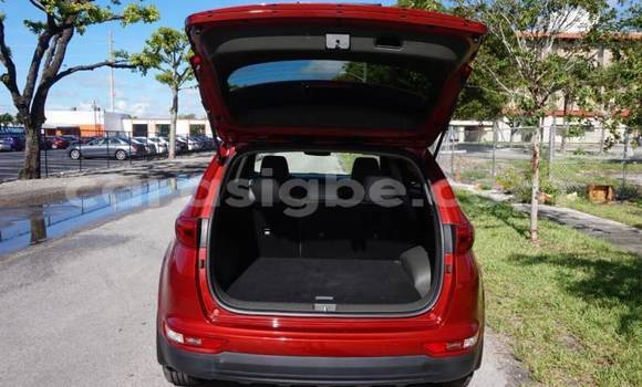 Buy Import Kia Sportage Red Car in Adawlato in Togo Buy Import Kia Sportage Red Car in Adawlato in Togo