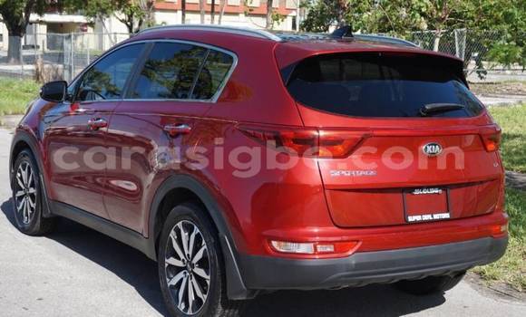 Buy Import Kia Sportage Red Car in Adawlato in Togo Buy Import Kia Sportage Red Car in Adawlato in Togo