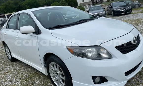Acheter Import Voiture Toyota Corolla Blanc à Aného, Togo Acheter Import Voiture Toyota Corolla Blanc à Aného, Togo