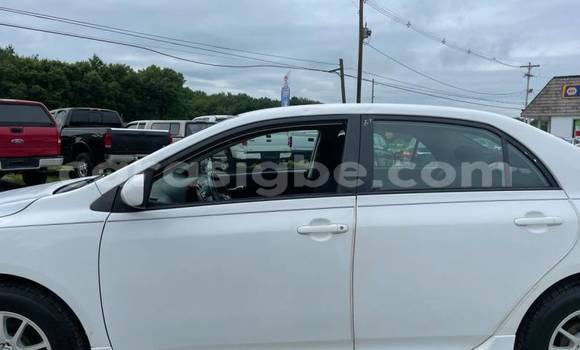 Acheter Import Voiture Toyota Corolla Blanc à Aného, Togo Acheter Import Voiture Toyota Corolla Blanc à Aného, Togo