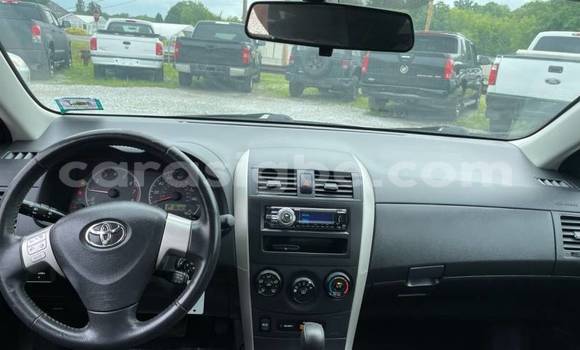 Acheter Import Voiture Toyota Corolla Blanc à Aného, Togo Acheter Import Voiture Toyota Corolla Blanc à Aného, Togo