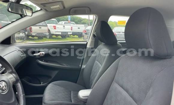 Acheter Import Voiture Toyota Corolla Blanc à Aného, Togo Acheter Import Voiture Toyota Corolla Blanc à Aného, Togo