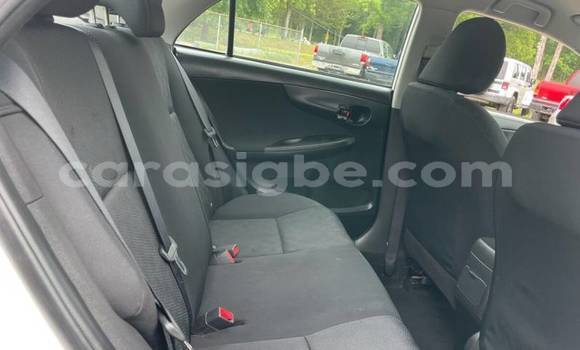 Acheter Import Voiture Toyota Corolla Blanc à Aného, Togo Acheter Import Voiture Toyota Corolla Blanc à Aného, Togo