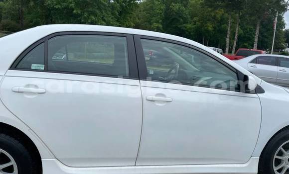 Acheter Import Voiture Toyota Corolla Blanc à Aného, Togo Acheter Import Voiture Toyota Corolla Blanc à Aného, Togo