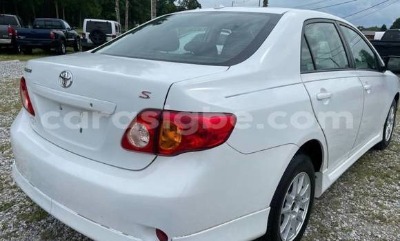Acheter Import Voiture Toyota Corolla Blanc à Aného, Togo Acheter Import Voiture Toyota Corolla Blanc à Aného, Togo