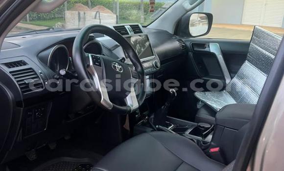 Acheter Import Voiture Toyota Land Cruiser Prado Marron à Lomé, Togo Acheter Import Voiture Toyota Land Cruiser Prado Marron à Lomé, Togo