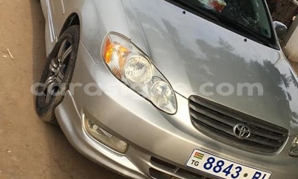 Acheter Occasion Voiture Toyota Corolla Gris à Lomé, Togo Acheter Occasion Voiture Toyota Corolla Gris à Lomé, Togo