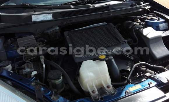 Buy Used Toyota RAV4 Blue Car in Lome in Togo Buy Used Toyota RAV4 Blue Car in Lome in Togo