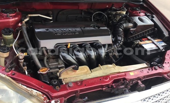 Acheter Occasion Voiture Toyota Corolla Rouge à Lomé, Togo Acheter Occasion Voiture Toyota Corolla Rouge à Lomé, Togo