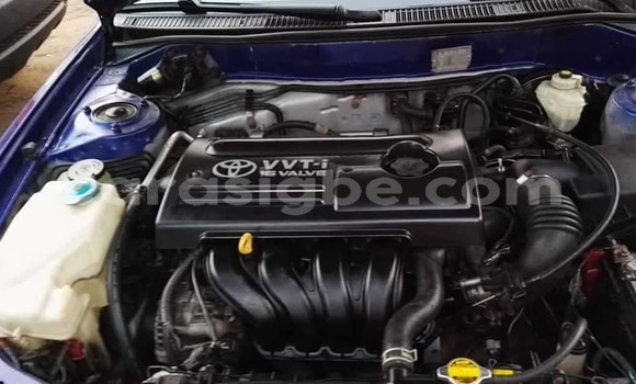 Acheter Occasion Voiture Toyota Corolla Bleu à Lomé, Togo Acheter Occasion Voiture Toyota Corolla Bleu à Lomé, Togo